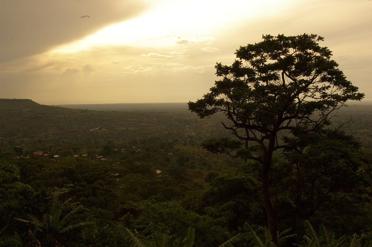 uganda africa sunset free photo