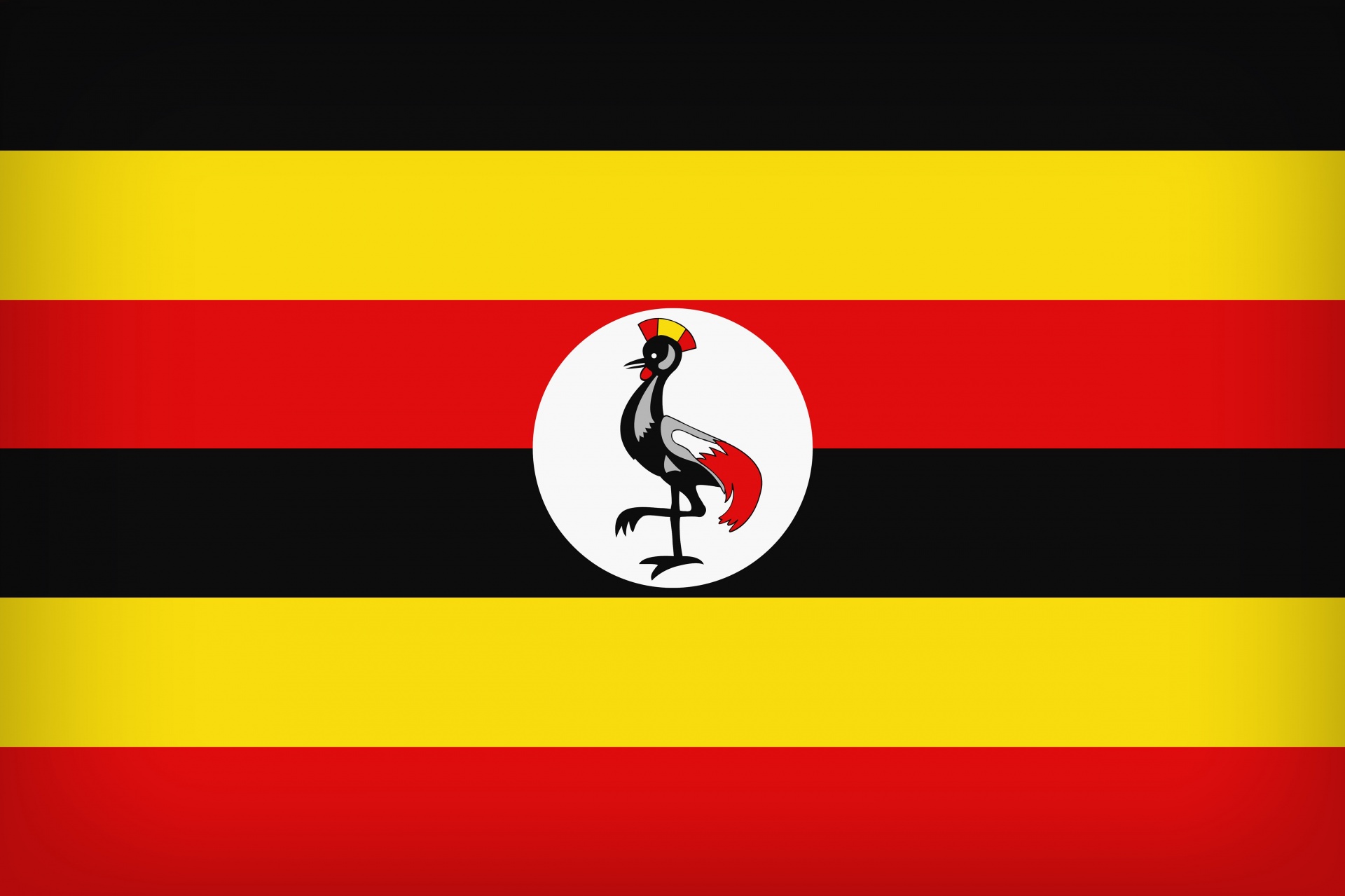 uganda flag background patriotic free photo