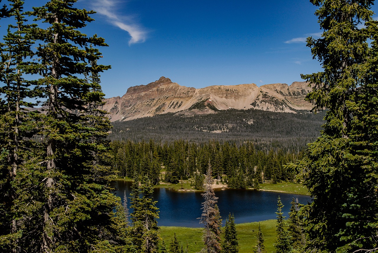 uinta  mountains  utah free photo