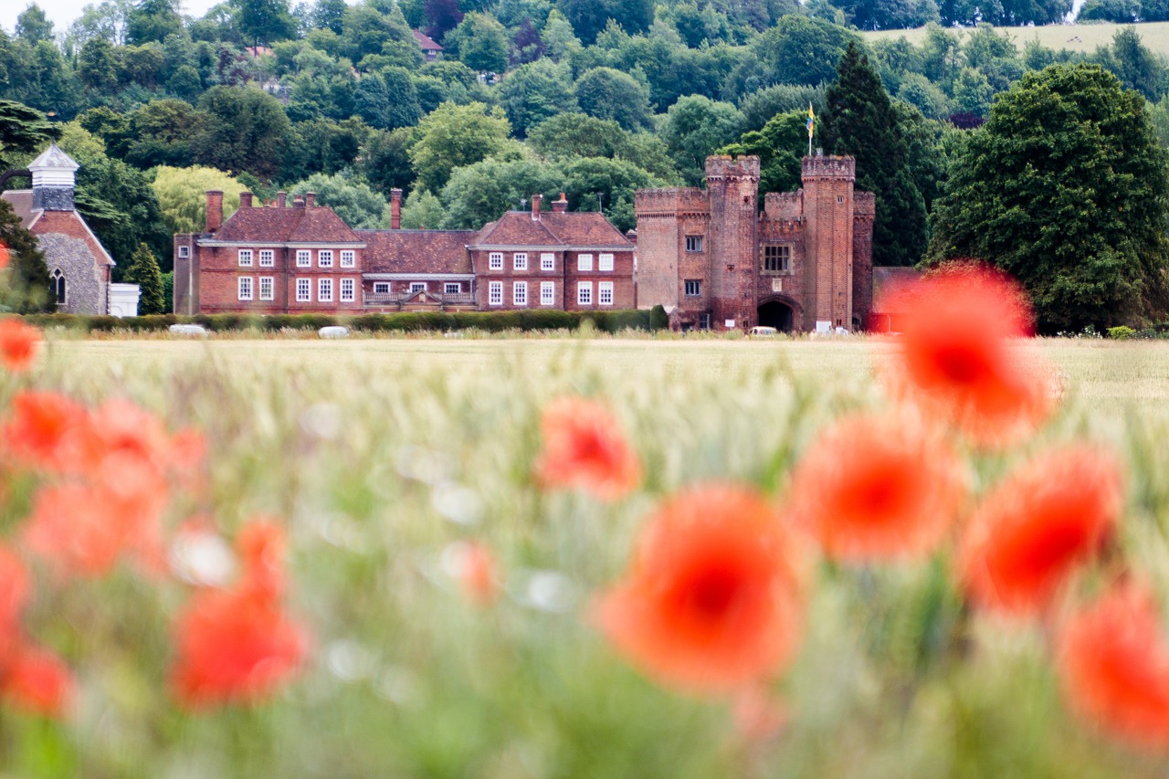 uk countryside poppies free photo