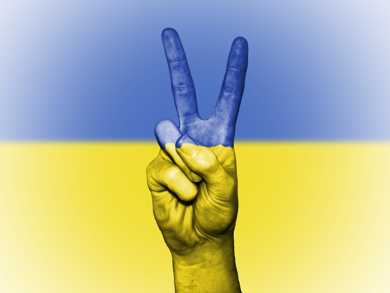 ukraine peace hand free photo