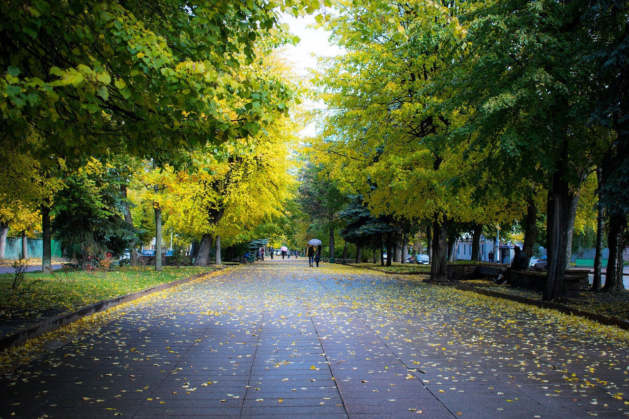 ukraine zhitomir park free photo