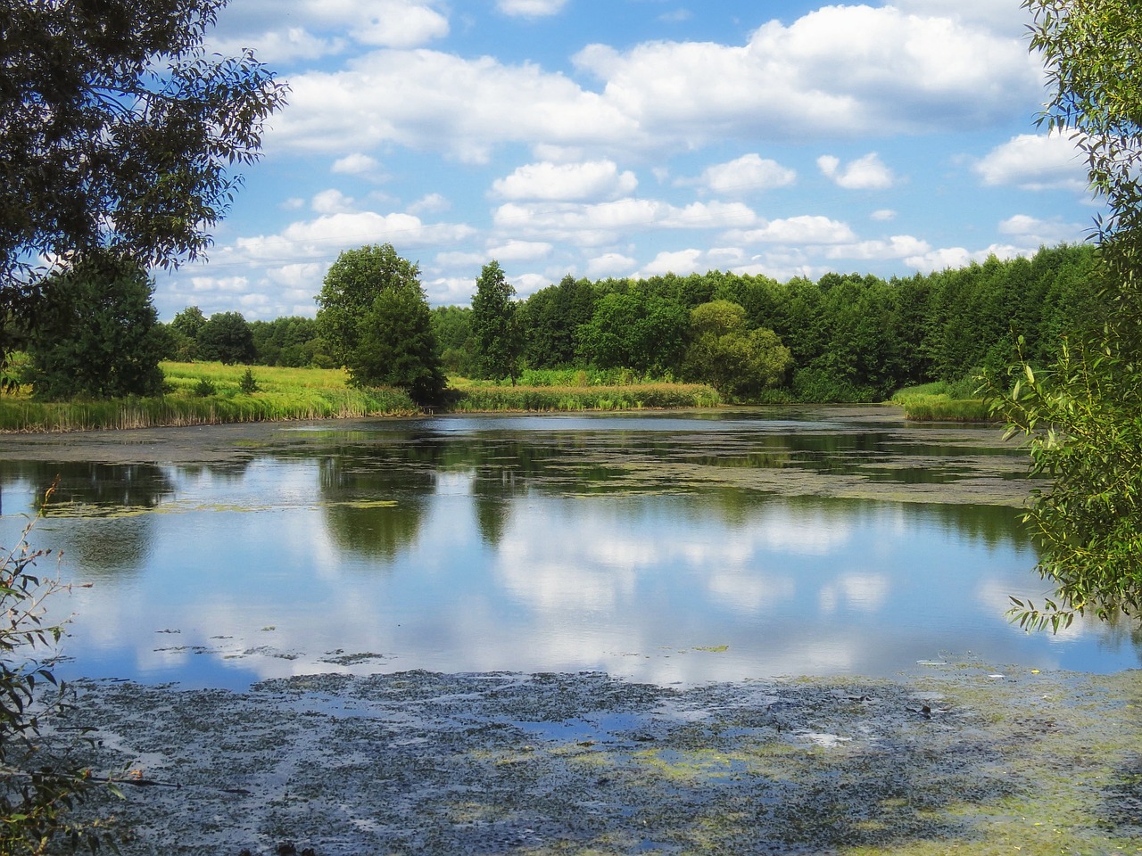 ukraine pond water free photo