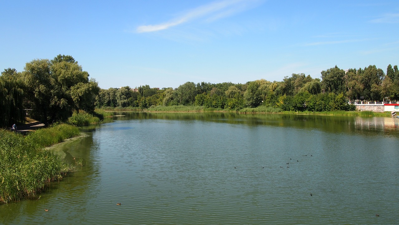 ukraine  mirgorod  river free photo