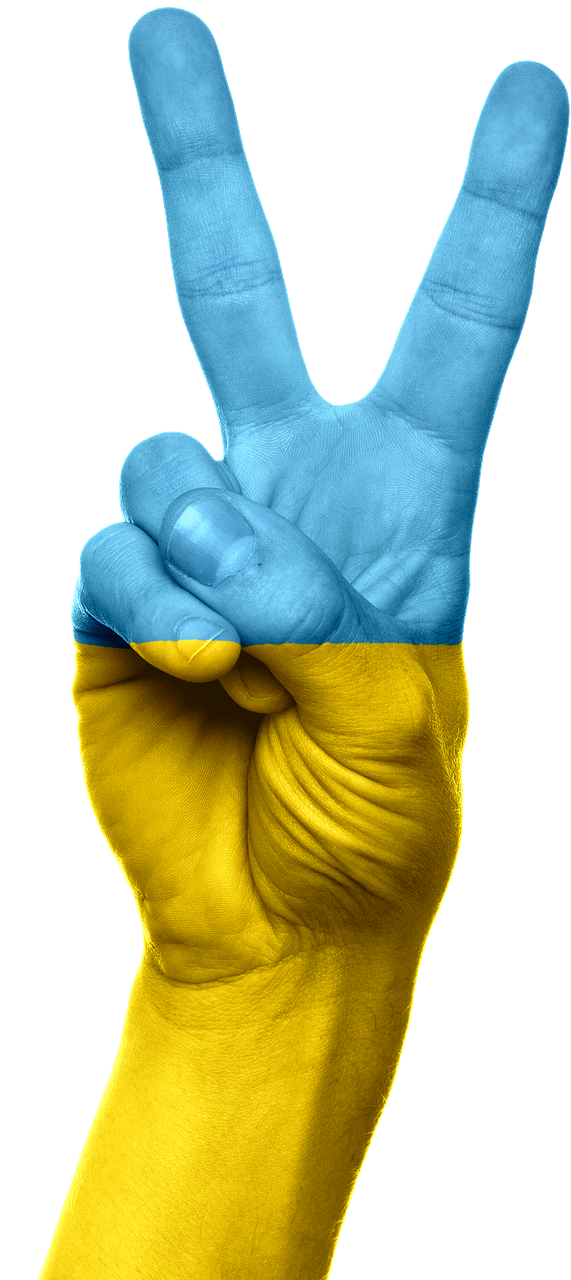 ukraine flag hand free photo