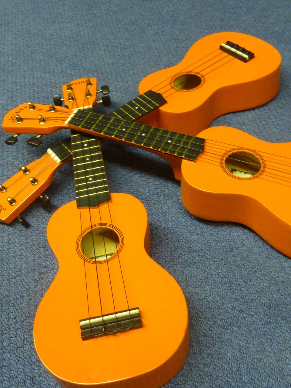 ukulele music musical free photo