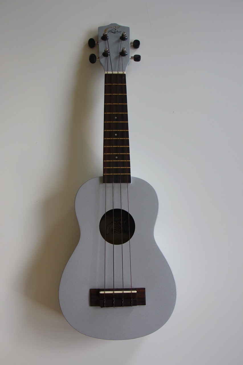 ukulele instrument music free photo