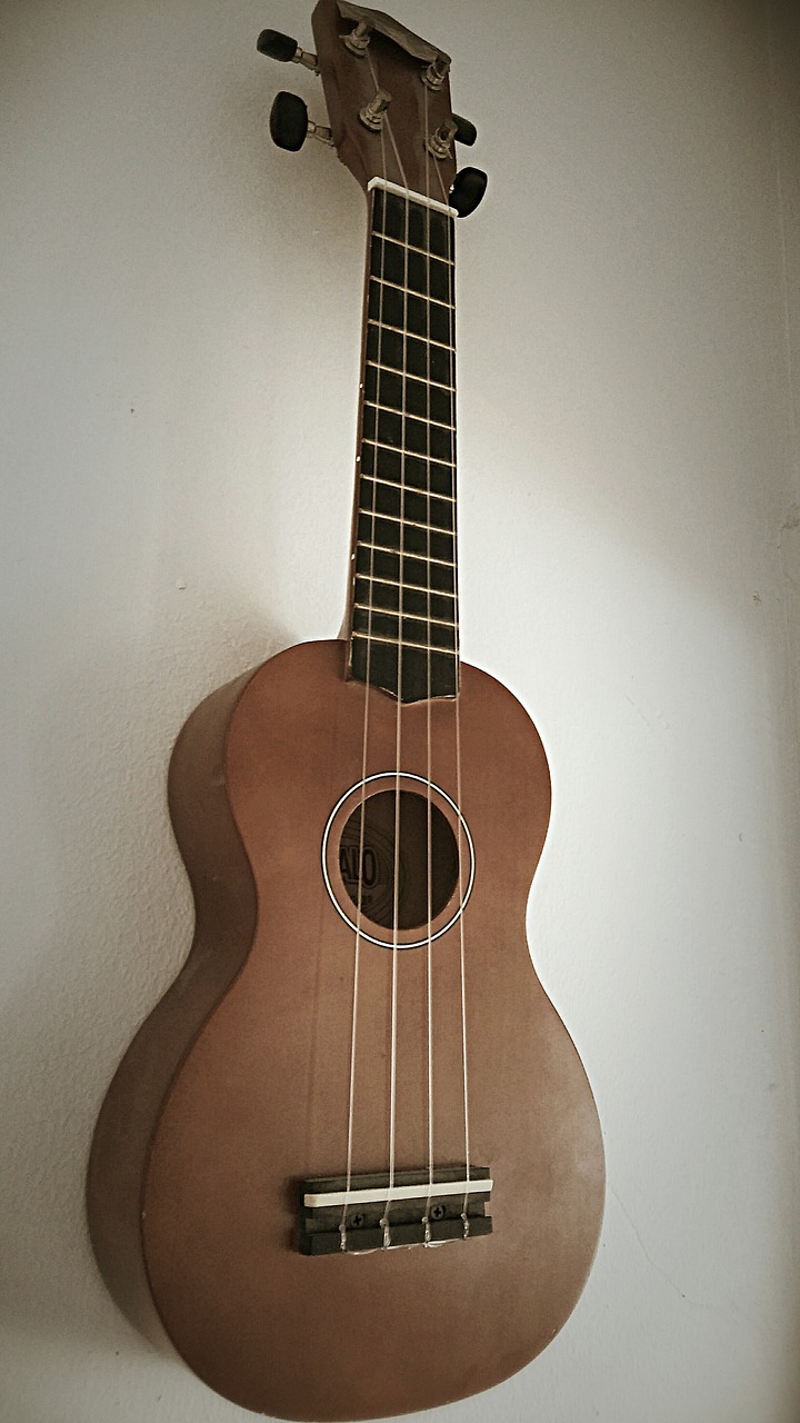 ukulele music instrument free photo