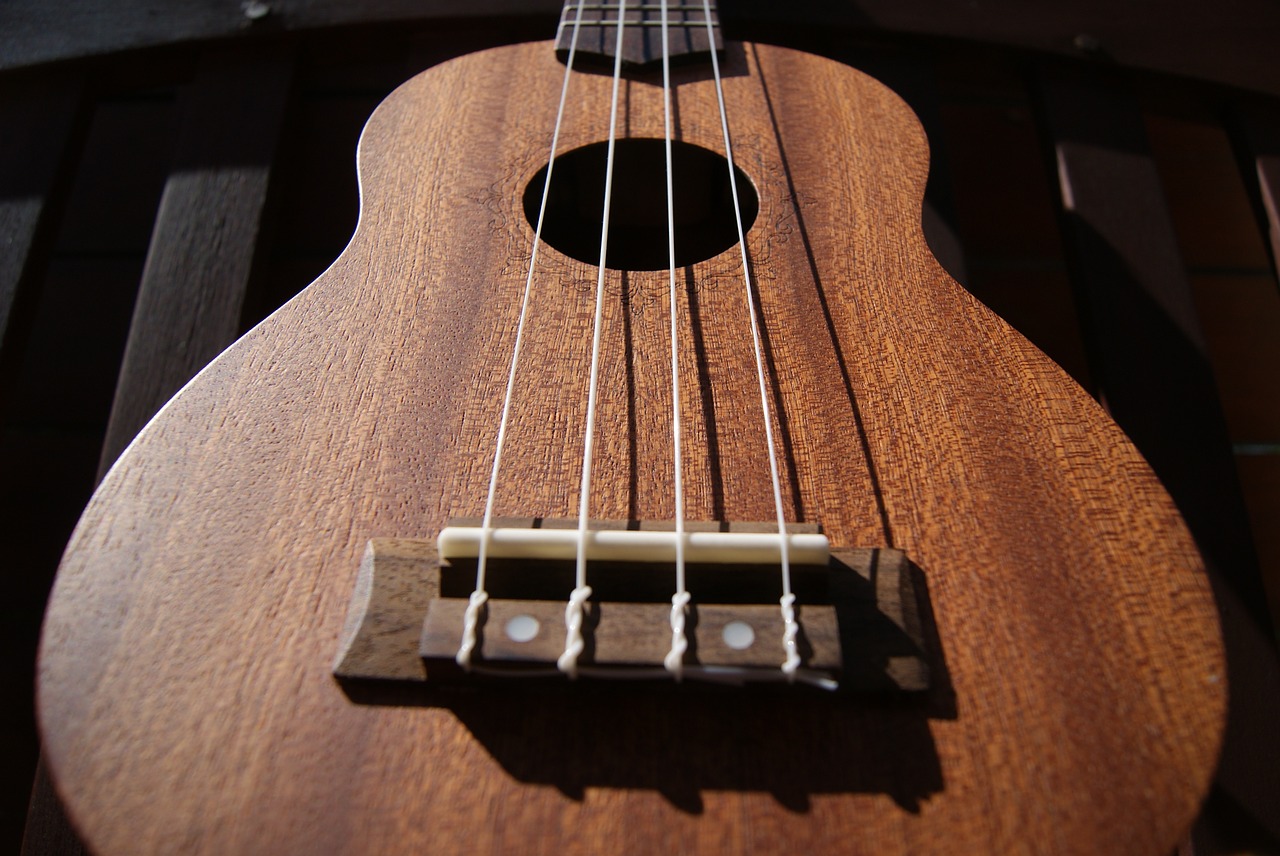 ukulele music strings free photo