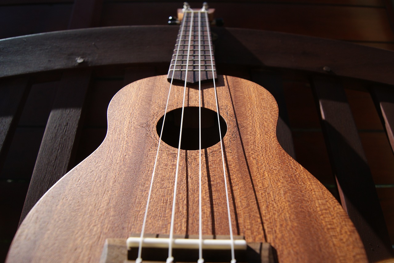 ukulele music strings free photo