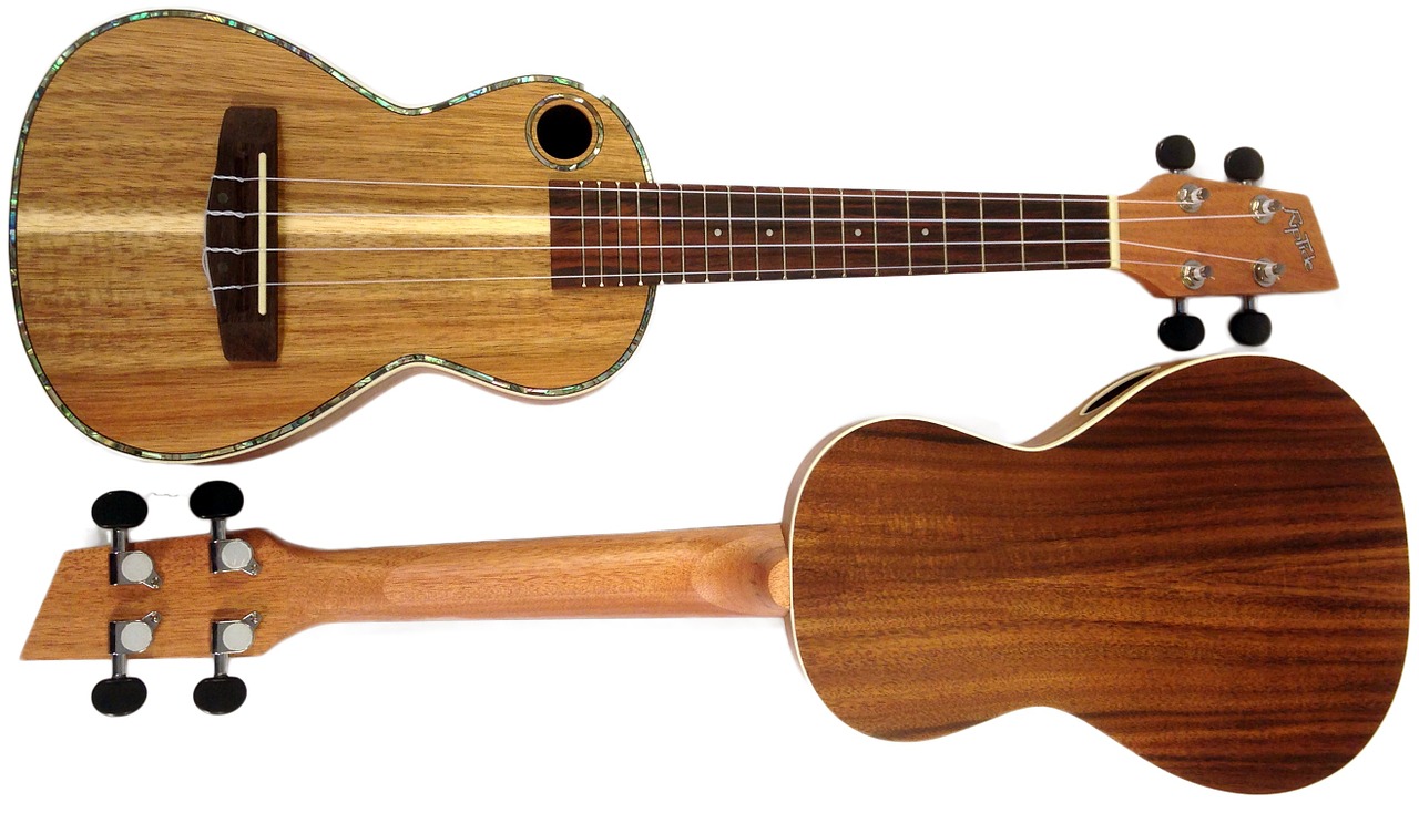 ukuleles wood acoustic free photo