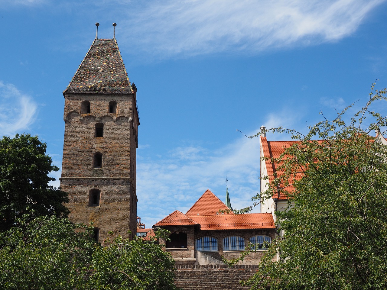 ulm goose tower tower free photo