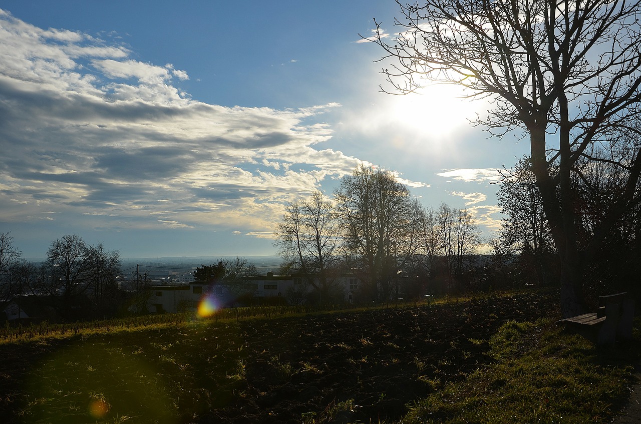 ulm sun clouds free photo