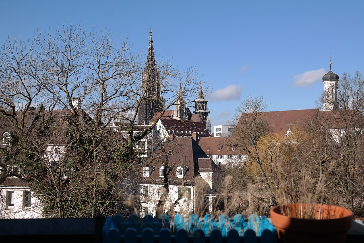 ulm ulm cathedral city view free photo