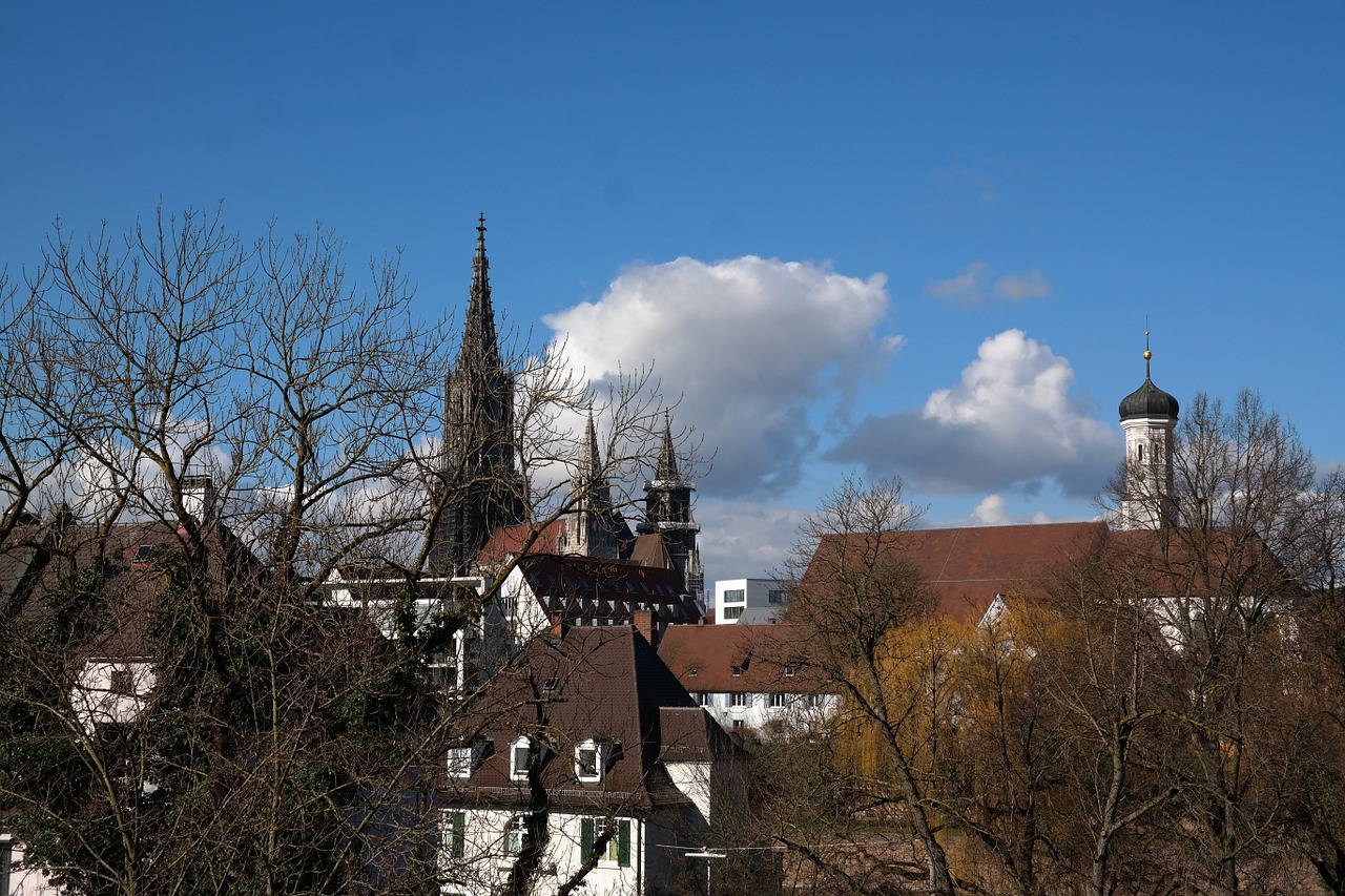 ulm ulm cathedral city view free photo