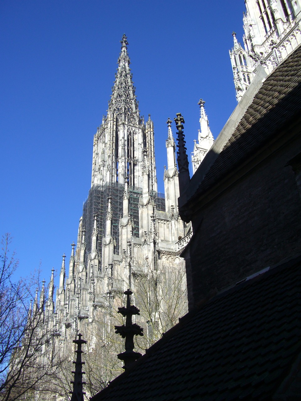 ulm cathedral building church free photo