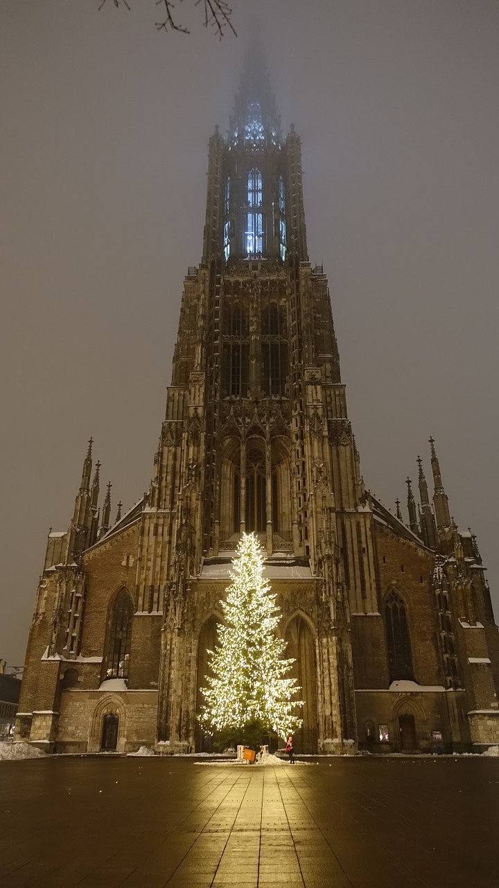 ulm cathedral christmas tree illuminated free photo