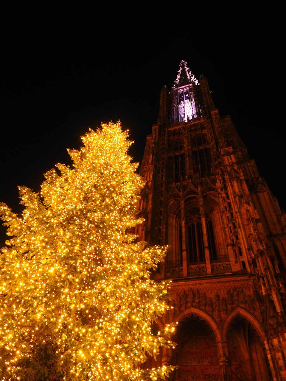 ulm cathedral ulm christmas free photo