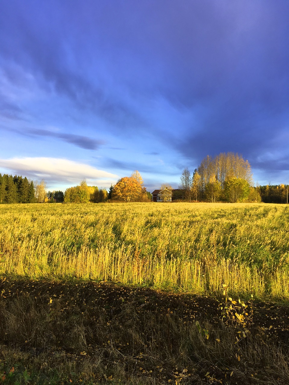 ultervattnet autumn himmel free photo