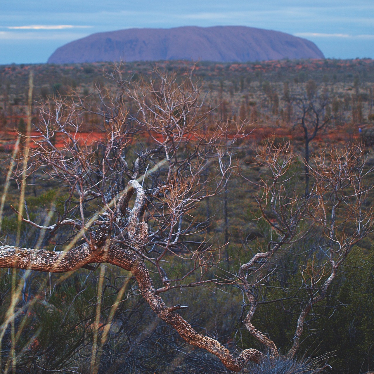 uluru sacred northern territory free photo