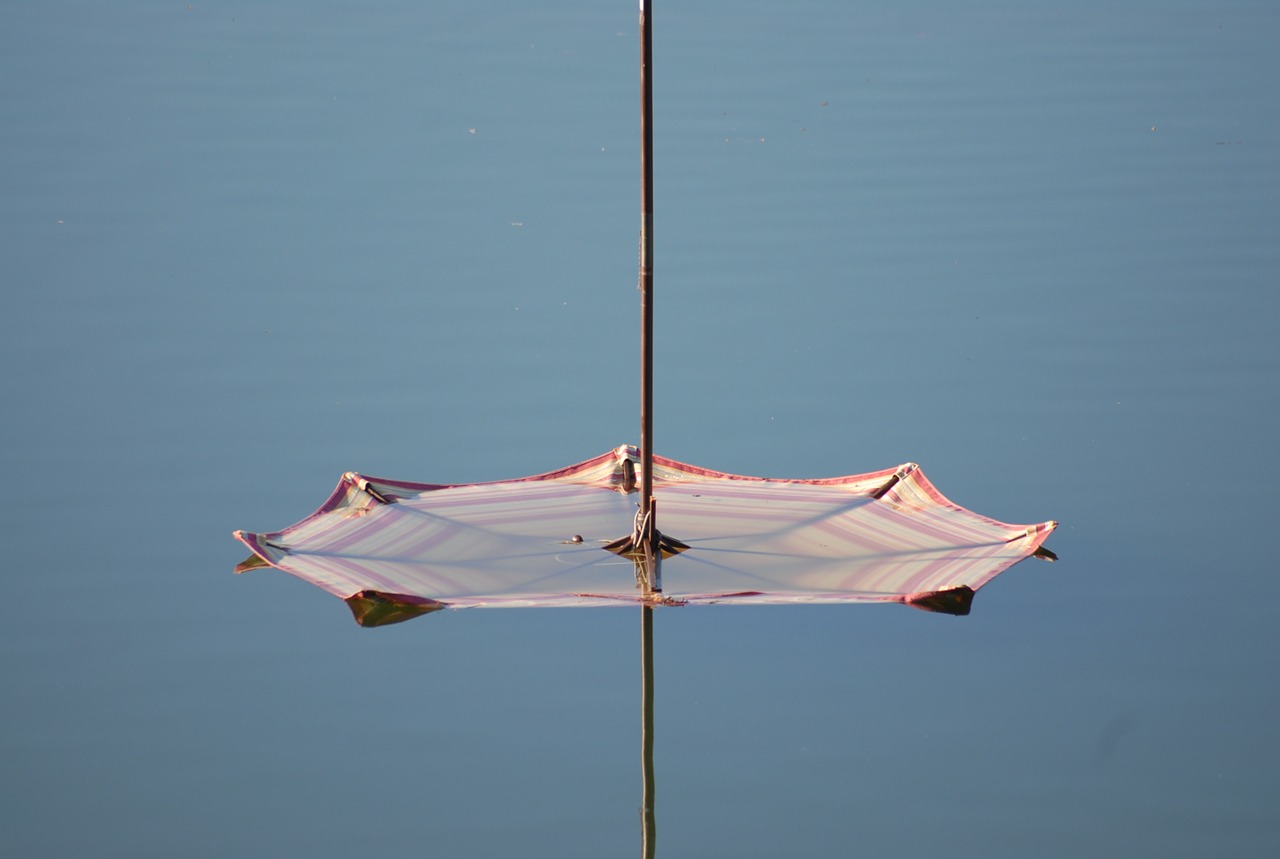 umbrella water nature free photo