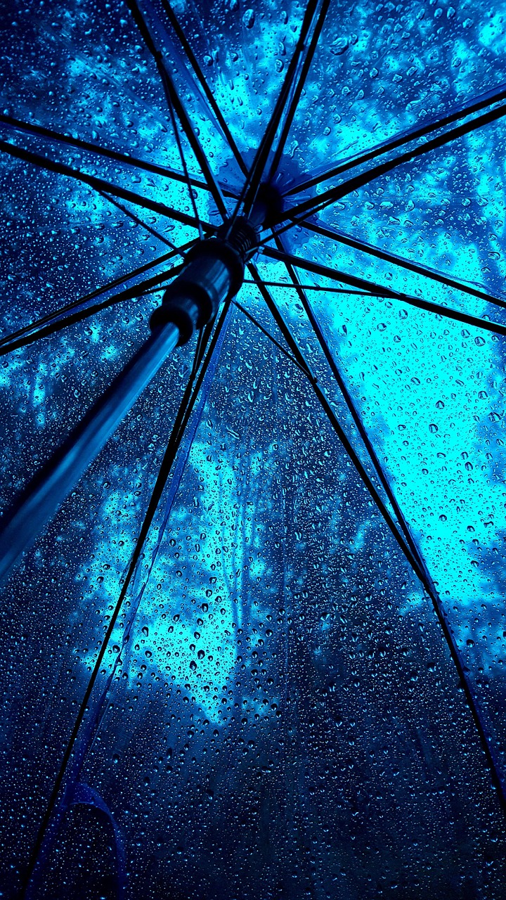 umbrella rainy weather blue free photo