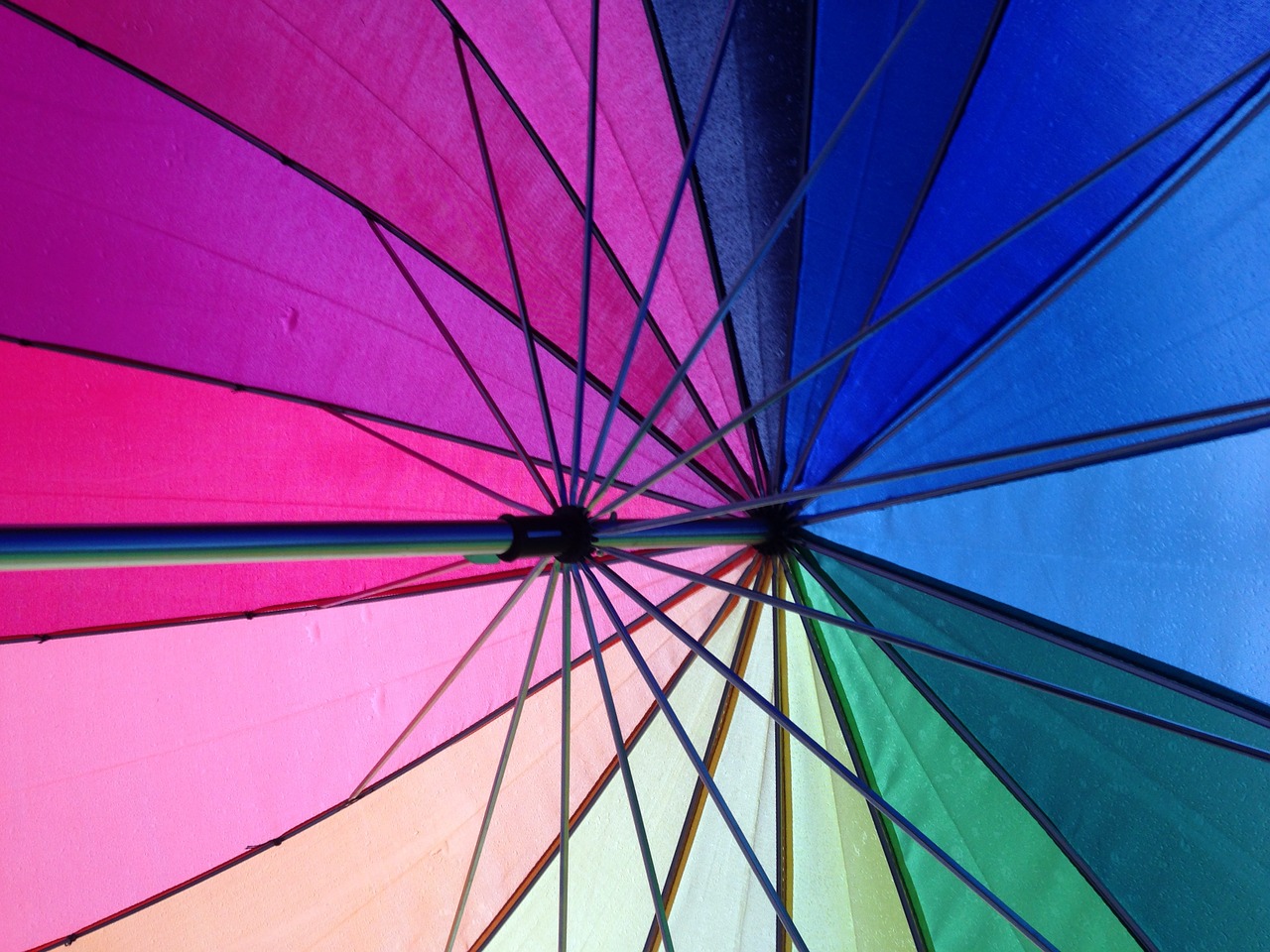 umbrella colourful colours free photo
