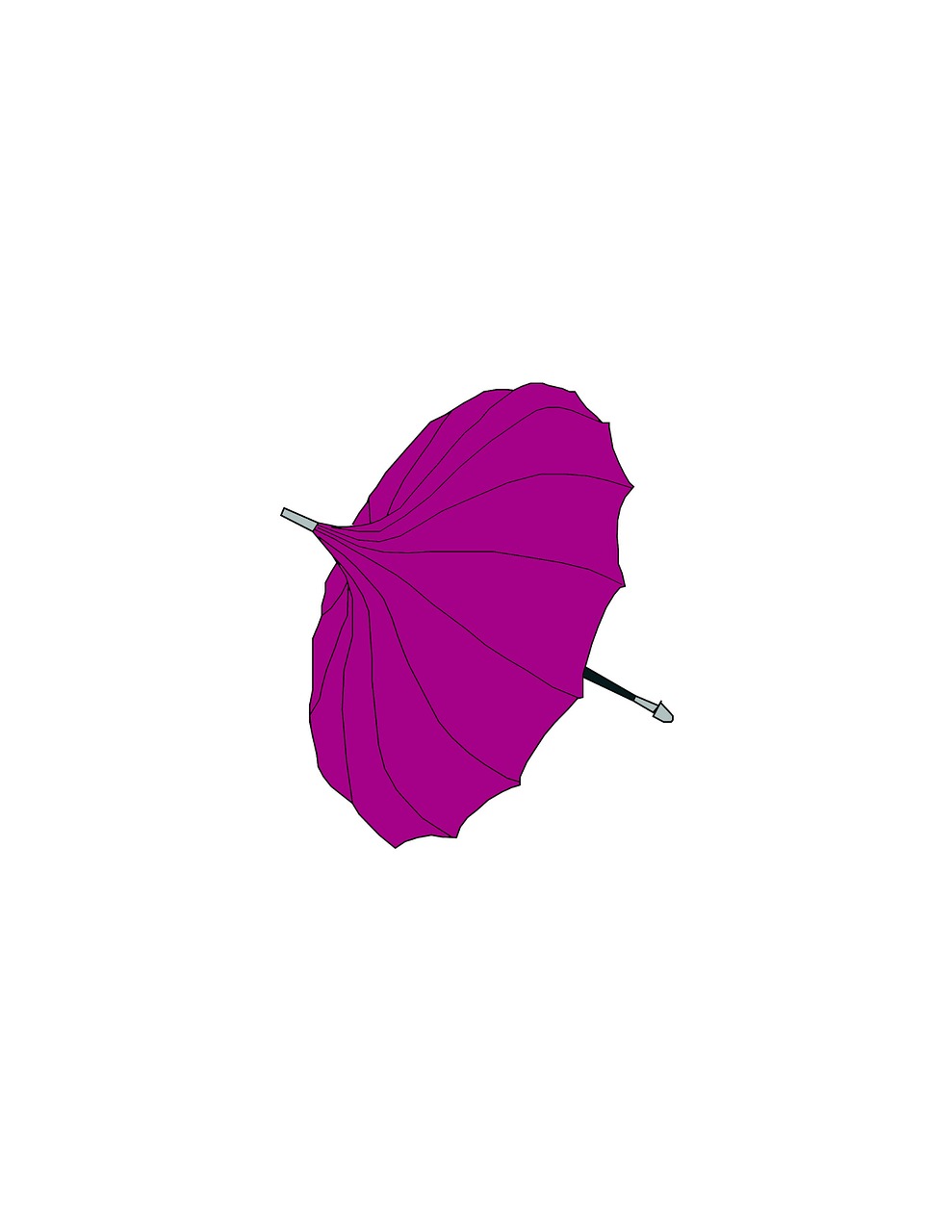 umbrella accessory rain free photo