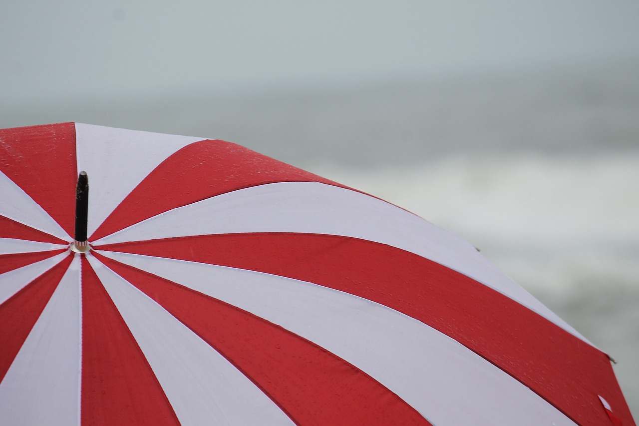 umbrella rain beach free photo