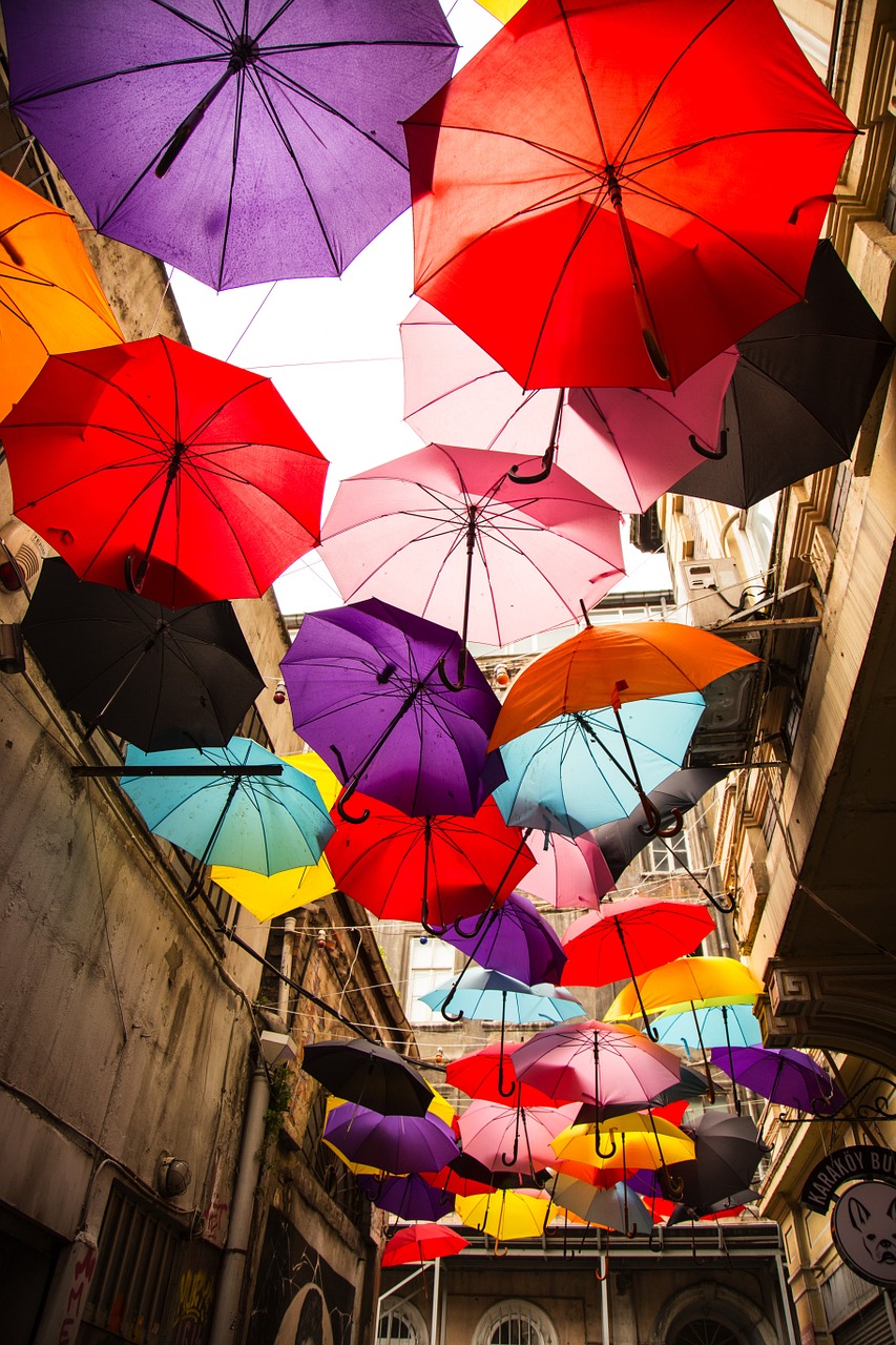 umbrella color happiness free photo