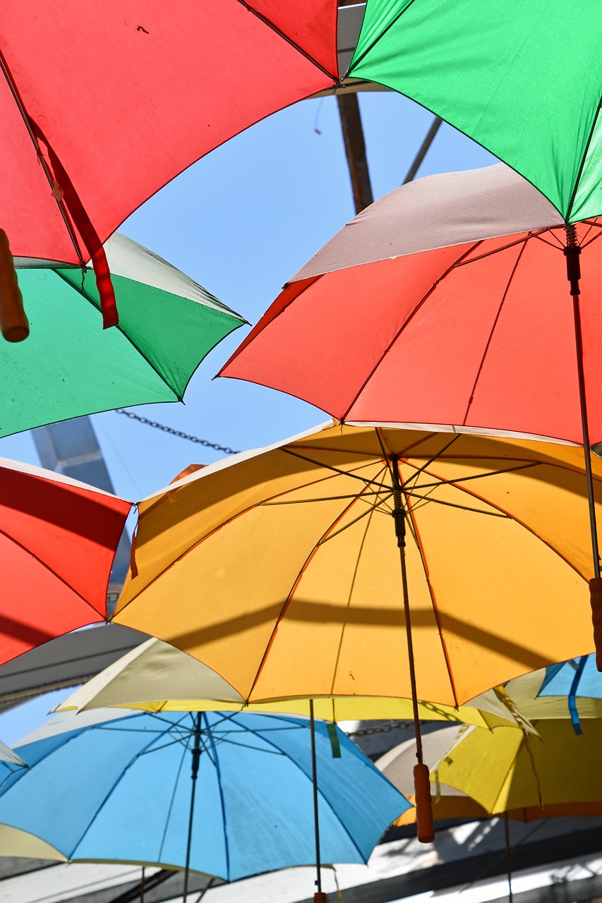 umbrella multi colour color free photo