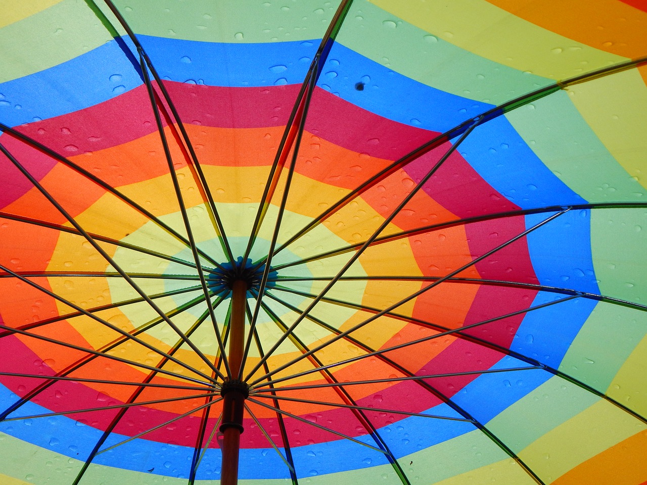 umbrella rain colorful free photo