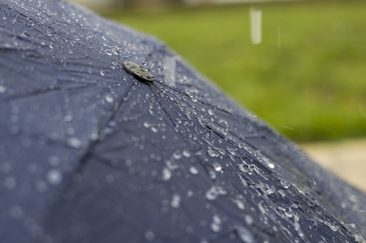 umbrella rain water free photo