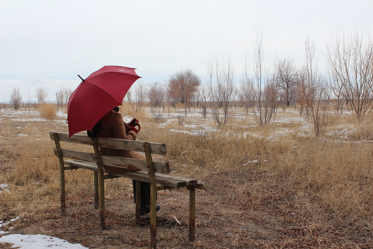 umbrella loneliness winter free photo