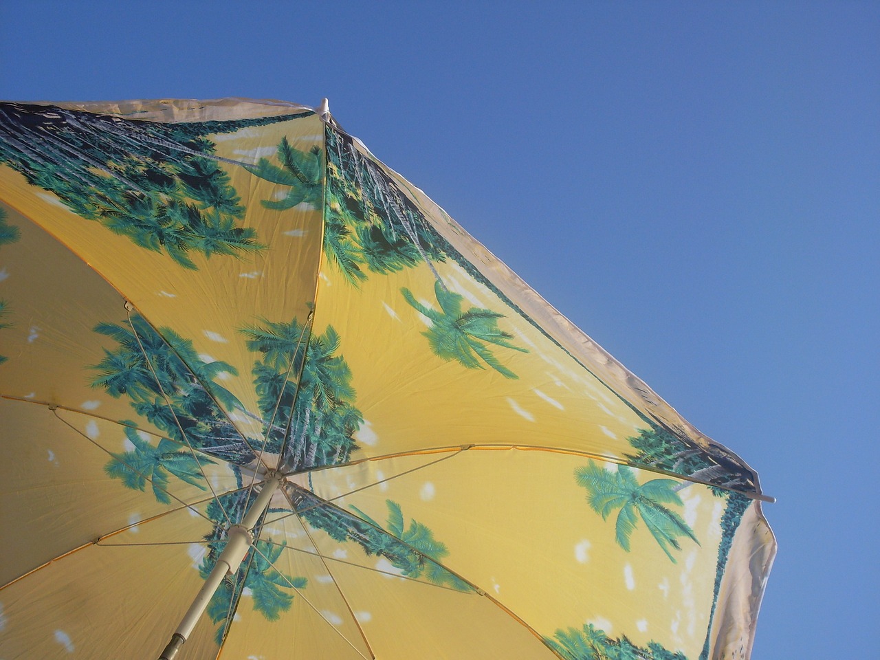 umbrella sky beach free photo