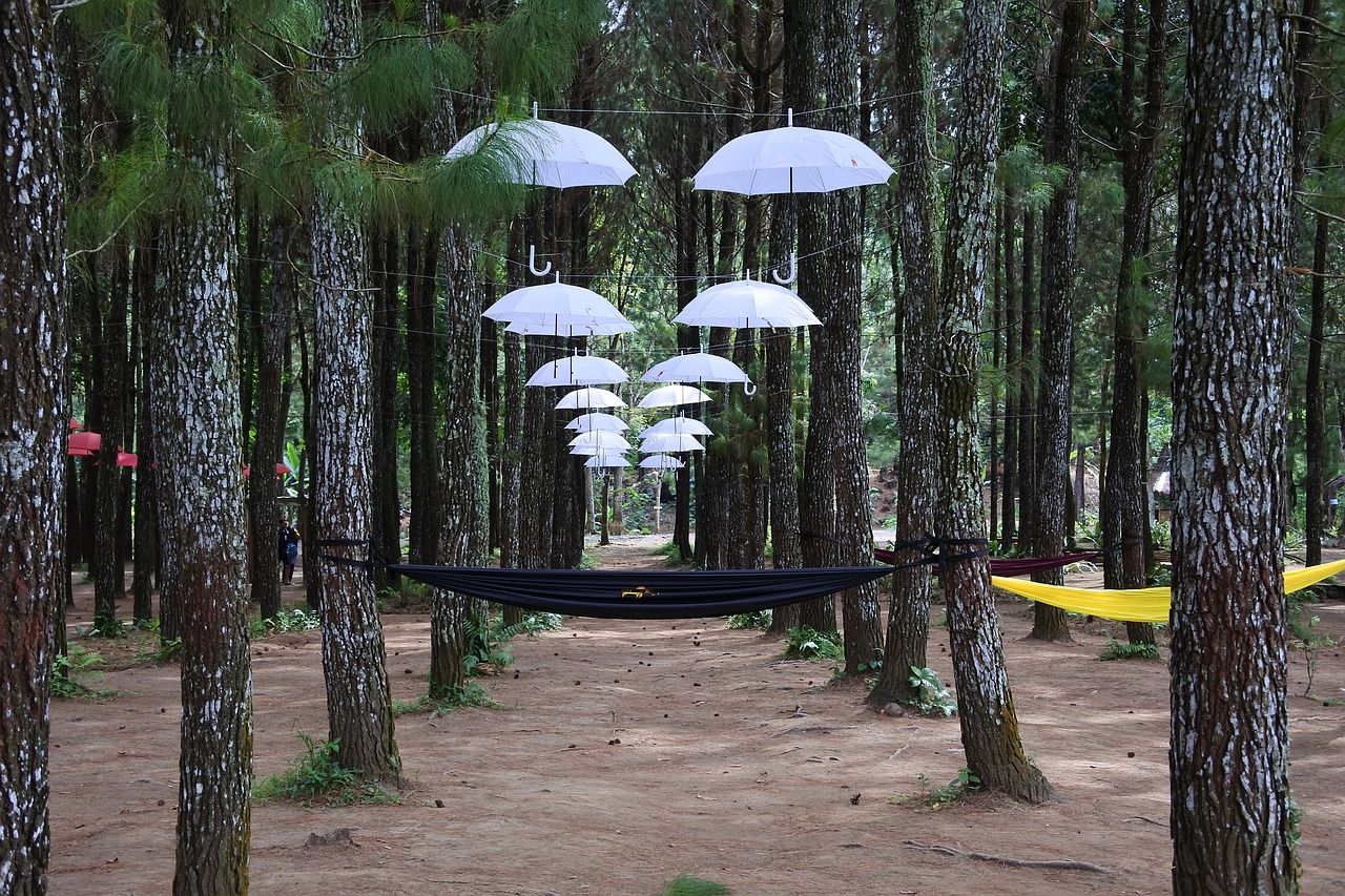umbrella forest rumah kayu free photo