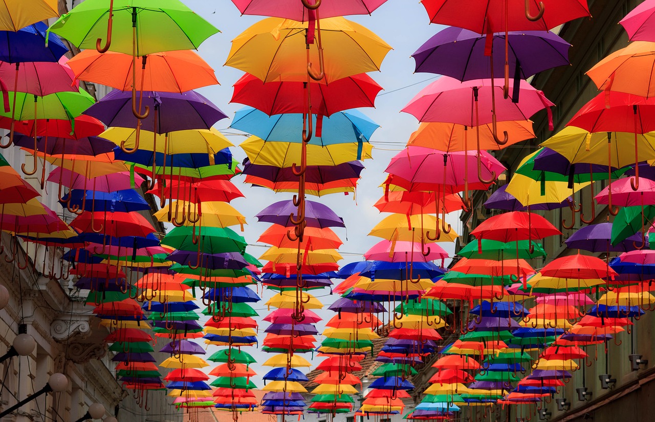 umbrella colorful multicoloured free photo