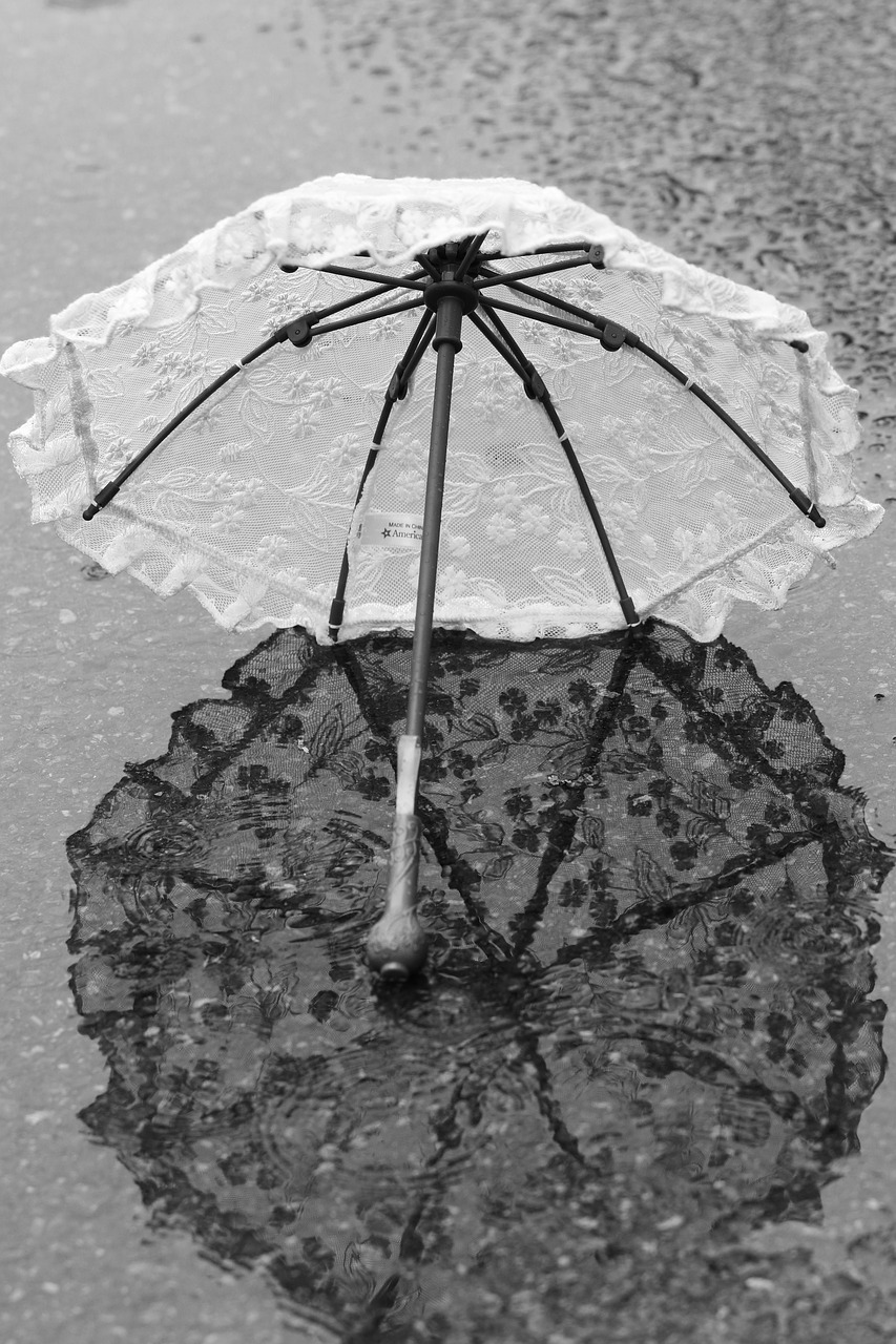 umbrella parasol water free photo