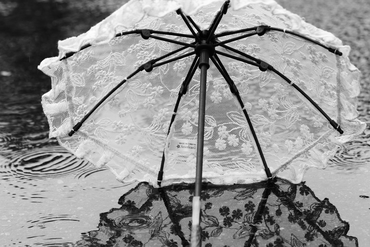 umbrella parasol water free photo