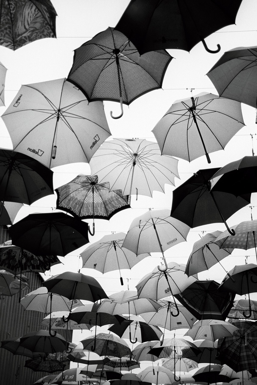 umbrella umbrellas black and white free photo