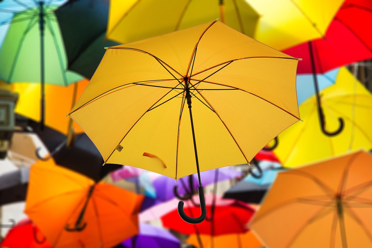 umbrella color atmosphere free photo