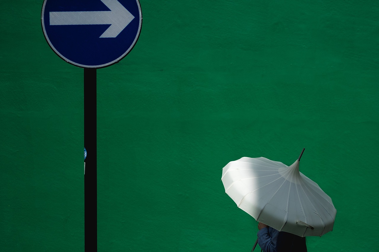 umbrella green wall free photo