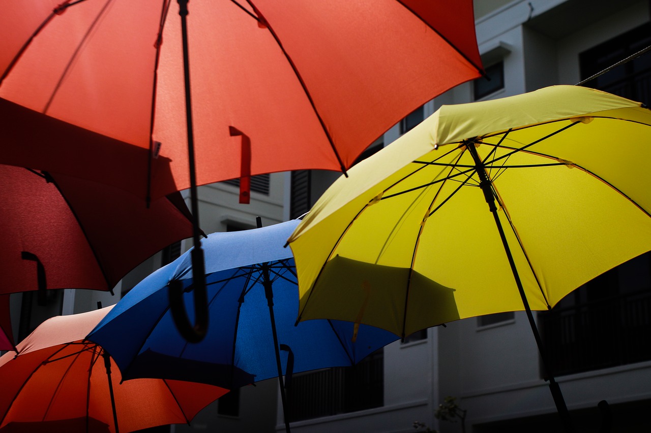 umbrella colorful umbrellas free photo