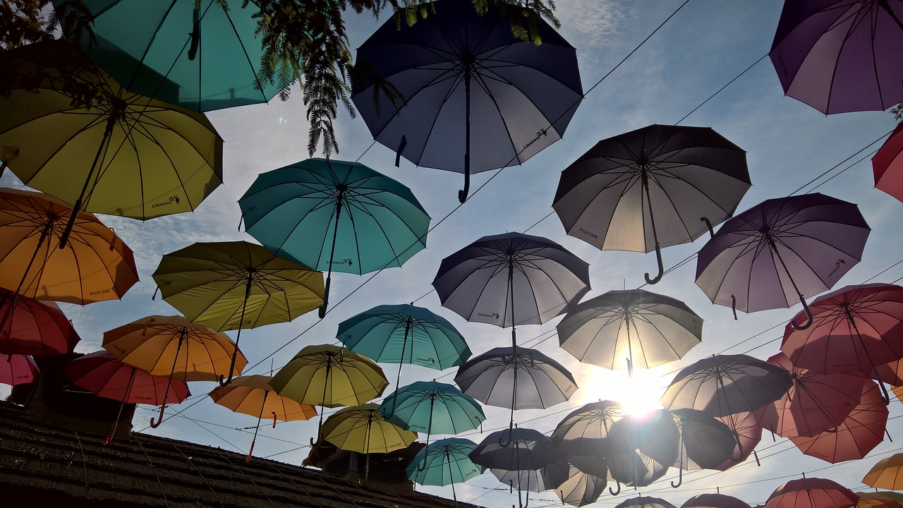 umbrella sunlight theme free photo