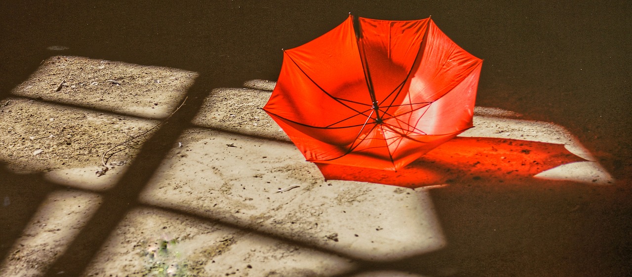 umbrella red colour free photo