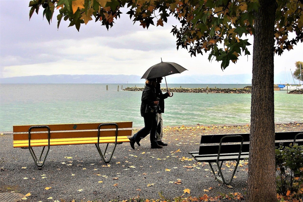 umbrella rain autumn free photo
