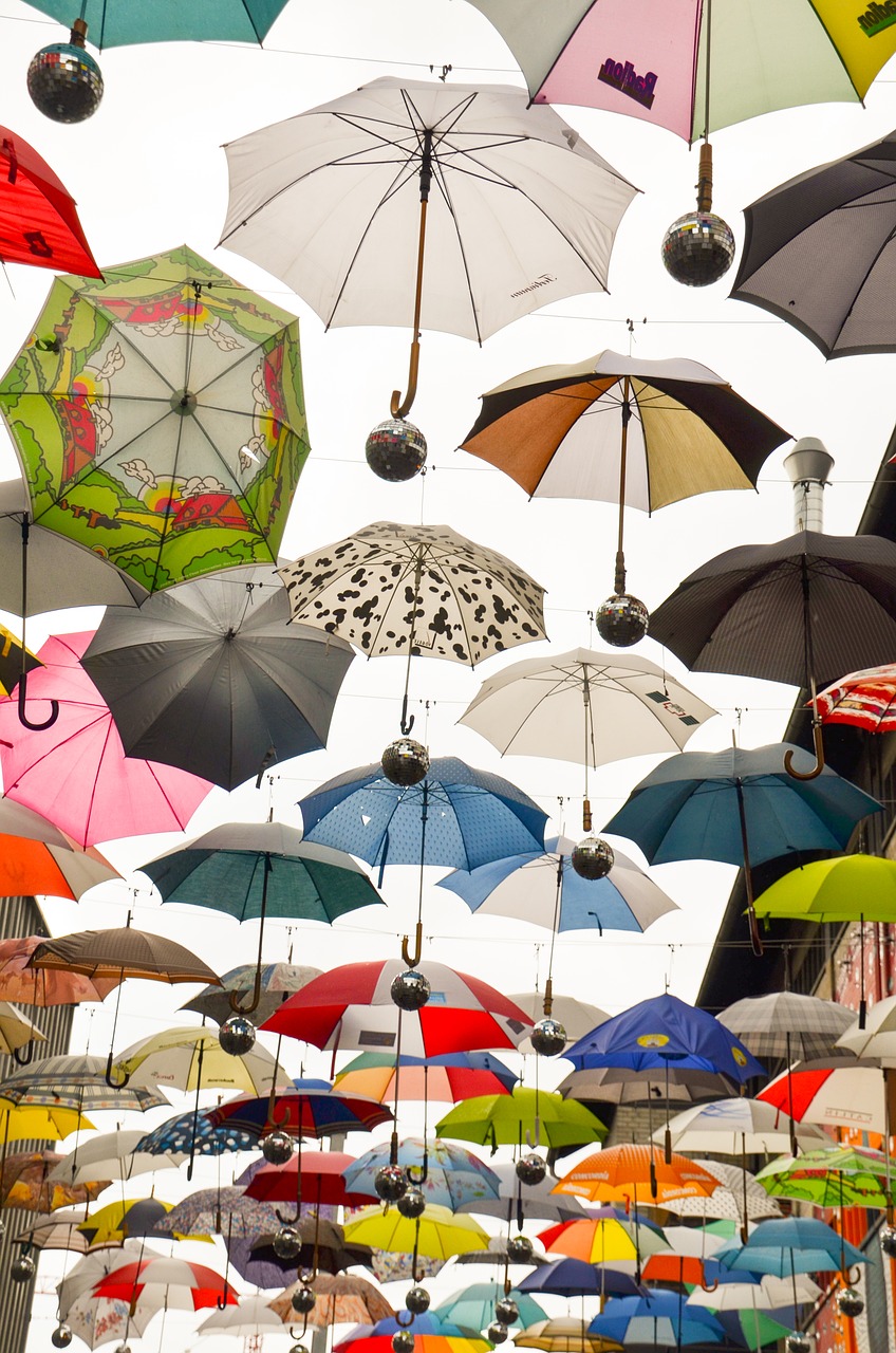 umbrella protection screens free photo