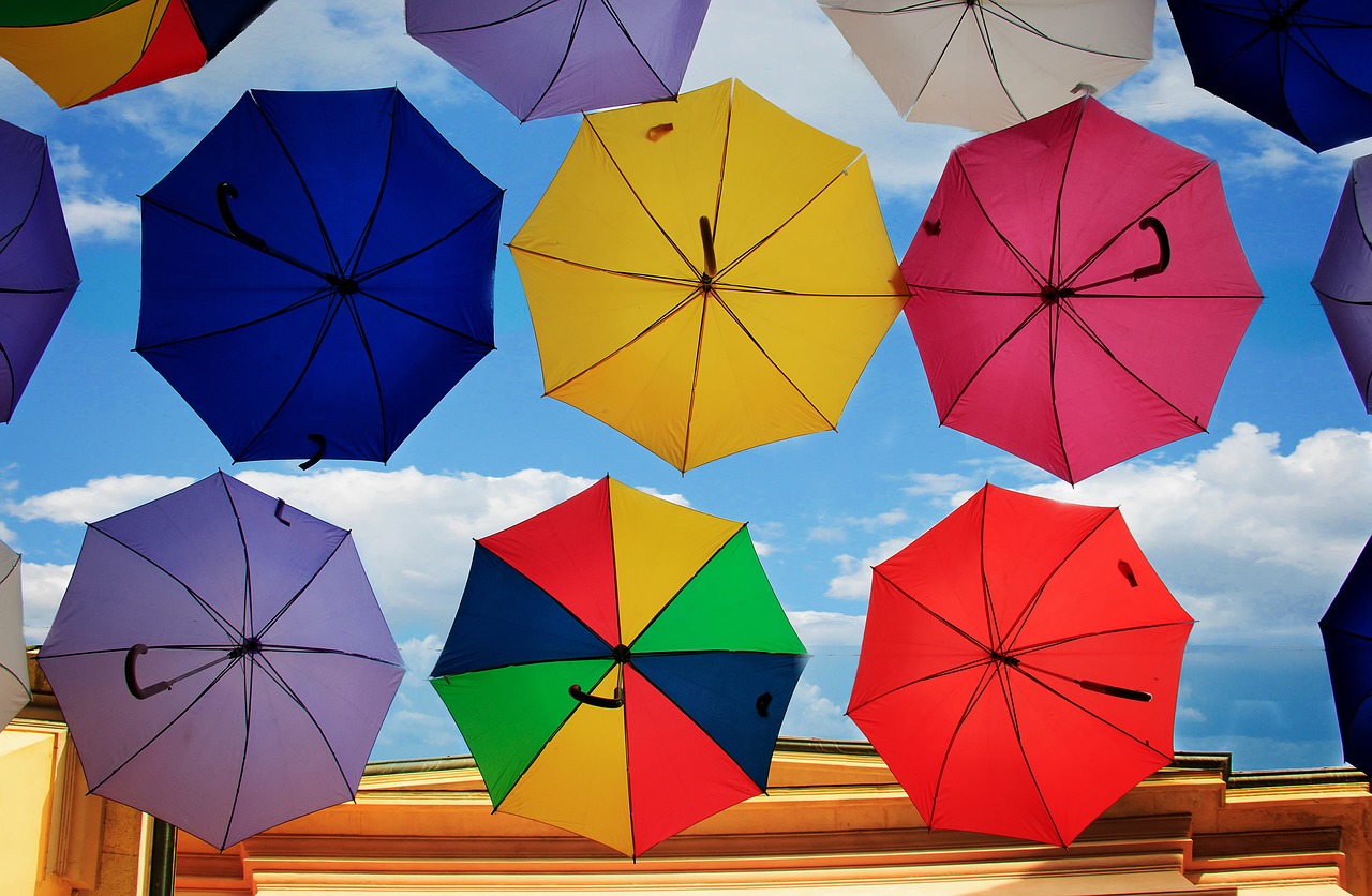 umbrella  vivid  form free photo