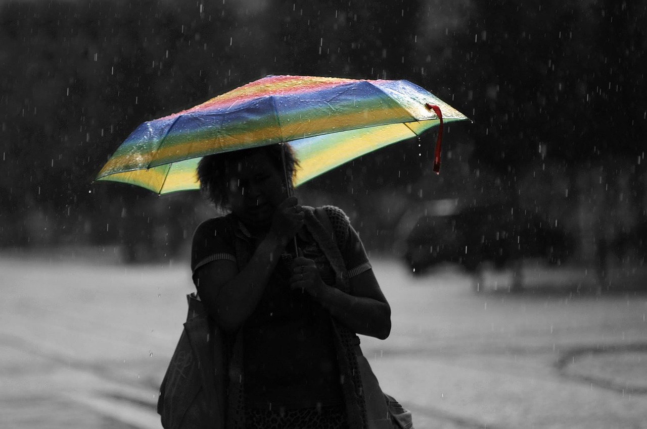 umbrella rain colors free photo