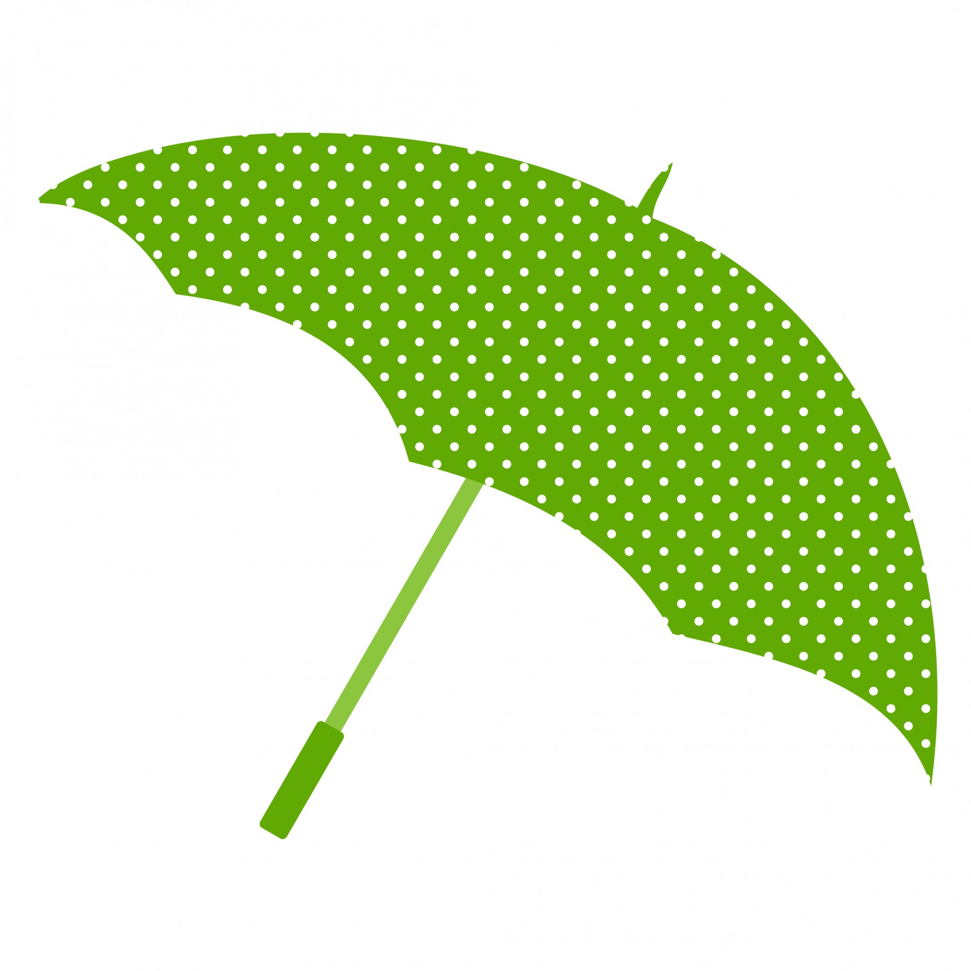 umbrella brolly green free photo
